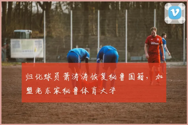 归化球员萧涛涛恢复秘鲁国籍，加盟老东家秘鲁体育大学