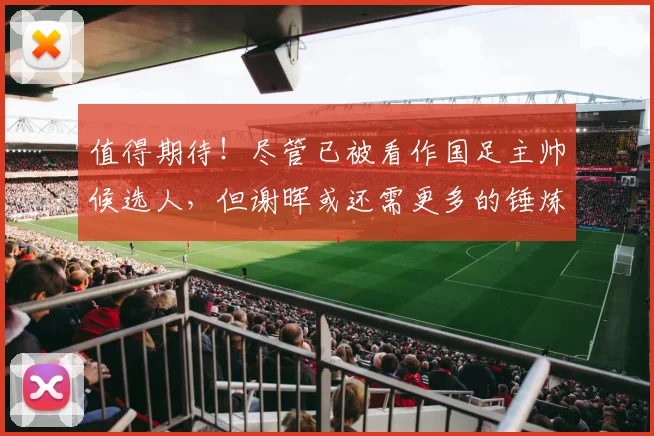 值得期待！尽管已被看作国足主帅候选人，但谢晖或还需更多的锤炼