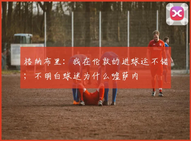 格纳布里：我在伦敦的进球运不错；不明白球迷为什么嘘萨内