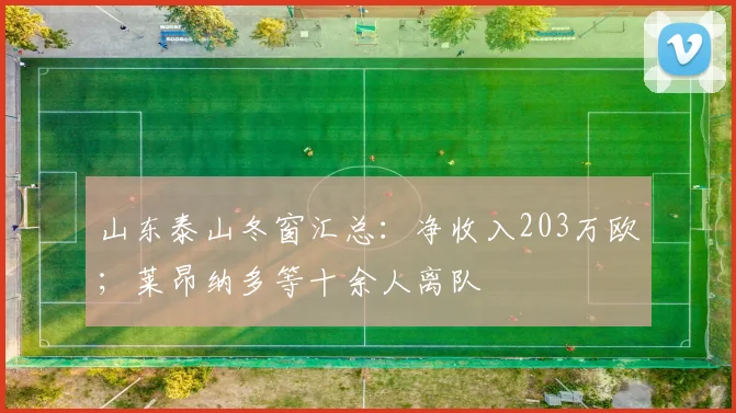 山东泰山冬窗汇总：净收入203万欧；莱昂纳多等十余人离队